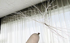 ものづくり・理科実験教室:神奈川県座間市青少年センター わくわくサイエンスくらぶ2018 静電気マジック 見えない力が物を動かす!?